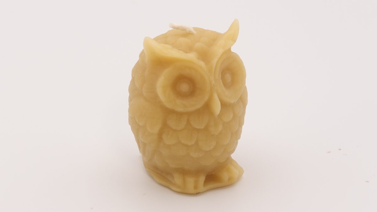 owl beeswax candle