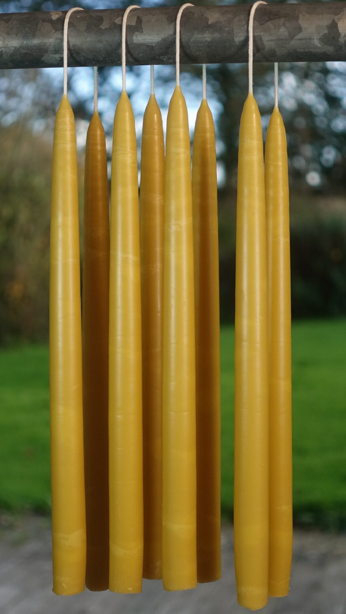 hand dipped beeswax candles