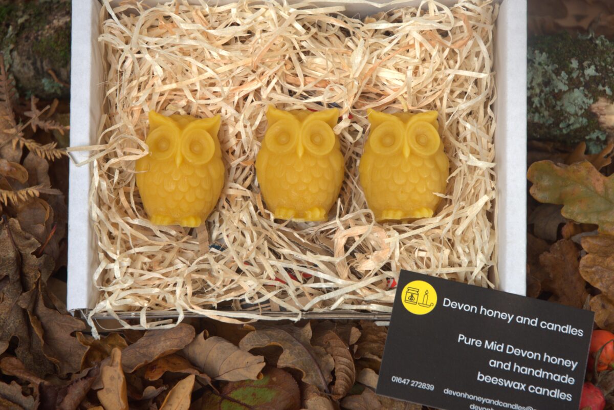 3 hand made beeswax owl candles