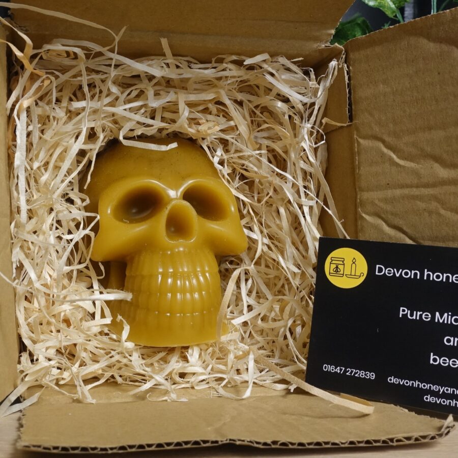 skull candle in a box