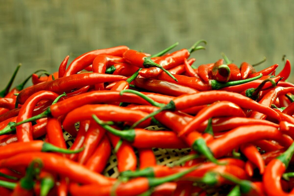 chilli pepper, spice, vegetables