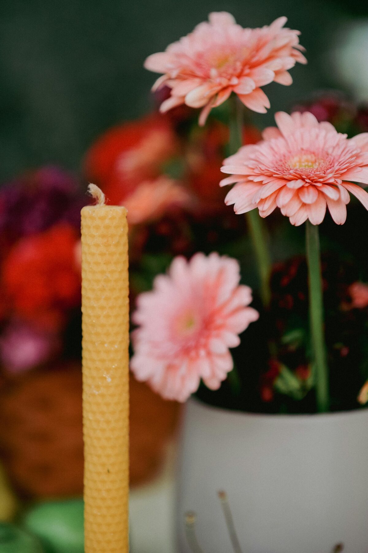 Close-up of bright gerbera flowers alongside a beeswax candle, creating delicate decoration.